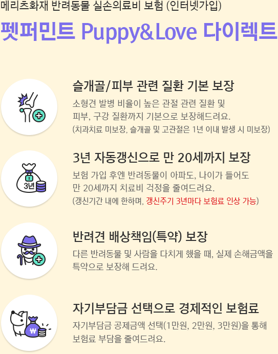 KB금쪽같은 펫보험