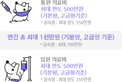 KB금쪽같은 펫보험