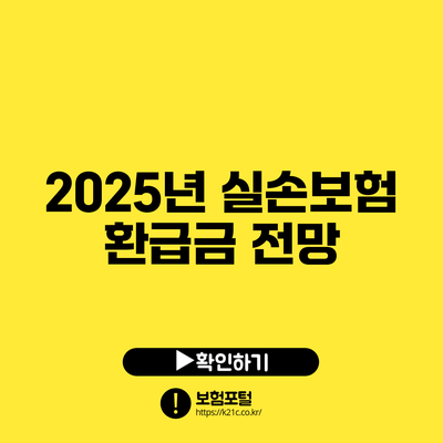 2025년 실손보험 환급금 전망