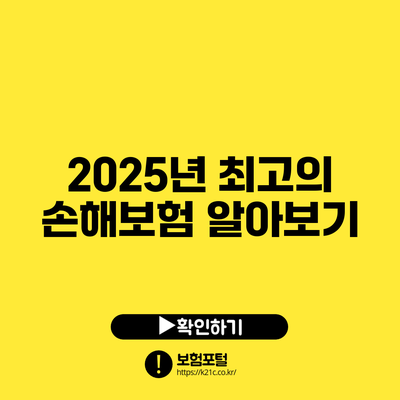 2025년 최고의 손해보험 알아보기