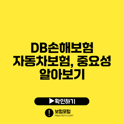 DB손해보험 자동차보험, 중요성 알아보기