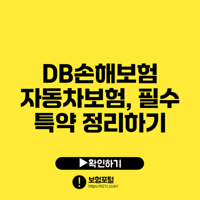 DB손해보험 자동차보험, 필수 특약 정리하기