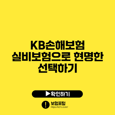 KB손해보험 실비보험으로 현명한 선택하기