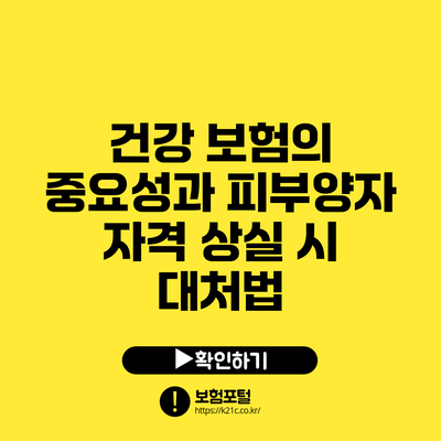 건강 보험의 중요성과 피부양자 자격 상실 시 대처법