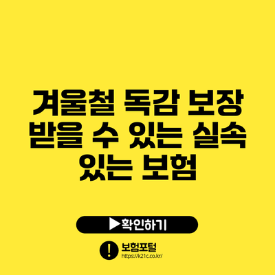 겨울철 독감 보장 받을 수 있는 실속 있는 보험