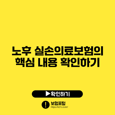노후 실손의료보험의 핵심 내용 확인하기