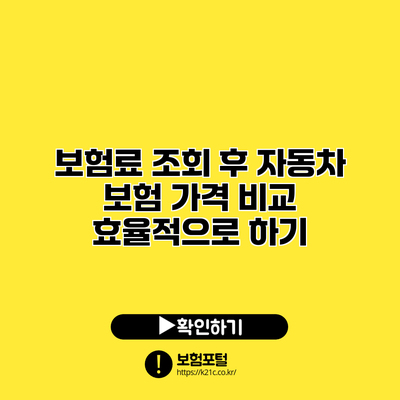 보험료 조회 후 자동차 보험 가격 비교 효율적으로 하기