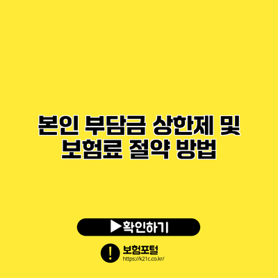 본인 부담금 상한제 및 보험료 절약 방법