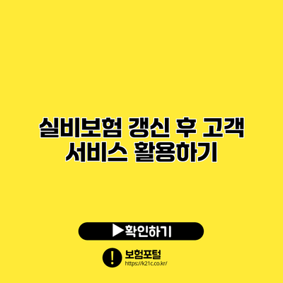 실비보험 갱신 후 고객 서비스 활용하기