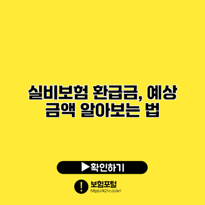 실비보험 환급금, 예상 금액 알아보는 법