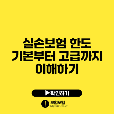 실손보험 한도: 기본부터 고급까지 이해하기