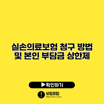 실손의료보험 청구 방법 및 본인 부담금 상한제