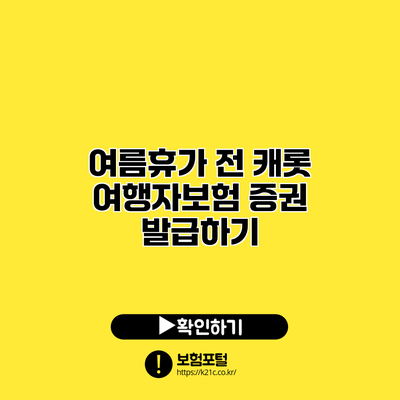 여름휴가 전 캐롯 여행자보험 증권 발급하기