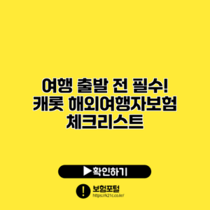 여행 출발 전 필수! 캐롯 해외여행자보험 체크리스트