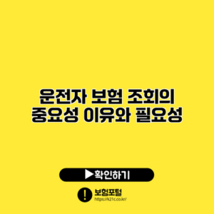 운전자 보험 조회의 중요성: 이유와 필요성