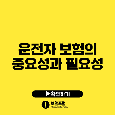 운전자 보험의 중요성과 필요성