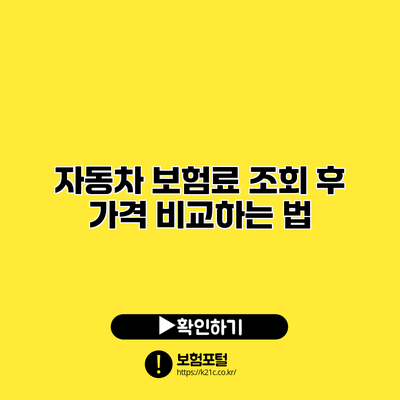 자동차 보험료 조회 후 가격 비교하는 법
