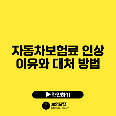 자동차보험료 인상 이유와 대처 방법