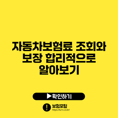자동차보험료 조회와 보장 합리적으로 알아보기