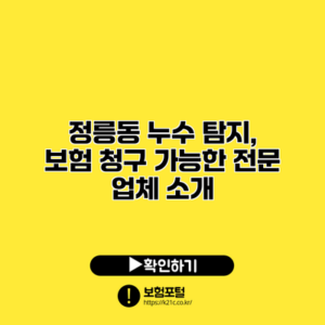 정릉동 누수 탐지, 보험 청구 가능한 전문 업체 소개