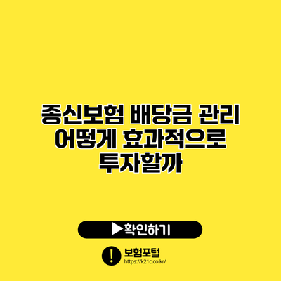 종신보험 배당금 관리: 어떻게 효과적으로 투자할까?