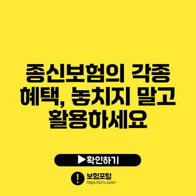 종신보험의 각종 혜택, 놓치지 말고 활용하세요