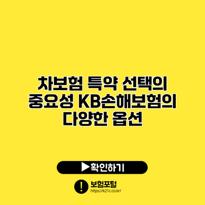 차보험 특약 선택의 중요성: KB손해보험의 다양한 옵션