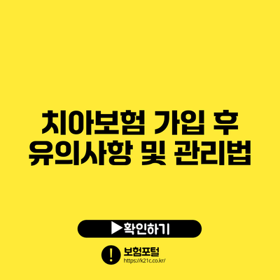 치아보험 가입 후 유의사항 및 관리법