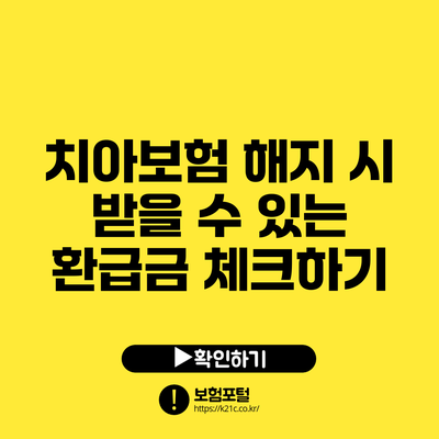 치아보험 해지 시 받을 수 있는 환급금 체크하기