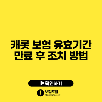 캐롯 보험 유효기간 만료 후 조치 방법