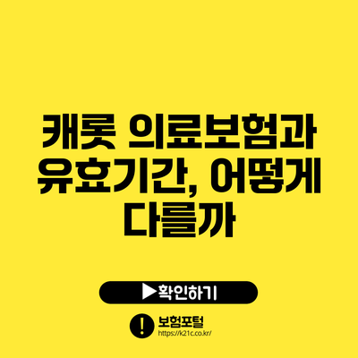 캐롯 의료보험과 유효기간, 어떻게 다를까?