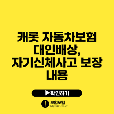캐롯 자동차보험: 대인배상, 자기신체사고 보장 내용