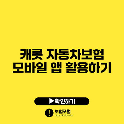 캐롯 자동차보험: 모바일 앱 활용하기