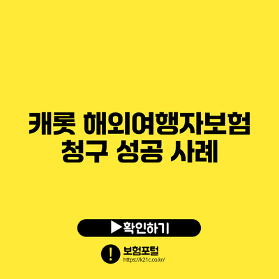 캐롯 해외여행자보험 청구 성공 사례