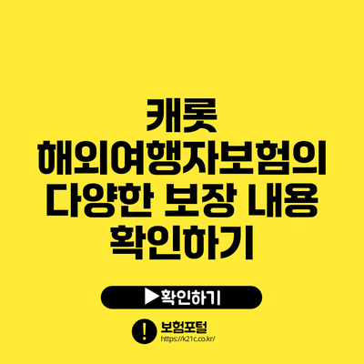 캐롯 해외여행자보험의 다양한 보장 내용 확인하기