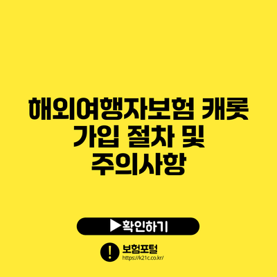 해외여행자보험 캐롯 가입 절차 및 주의사항