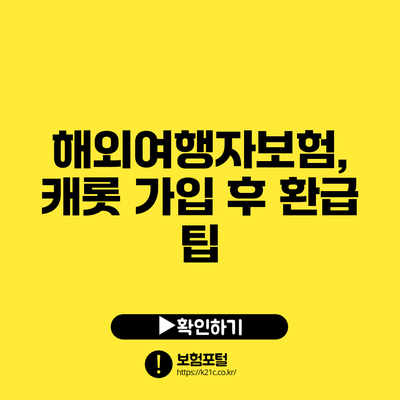 해외여행자보험, 캐롯 가입 후 환급 팁