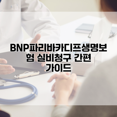 BNP파리바카디프생명보험 실비청구 간편 가이드