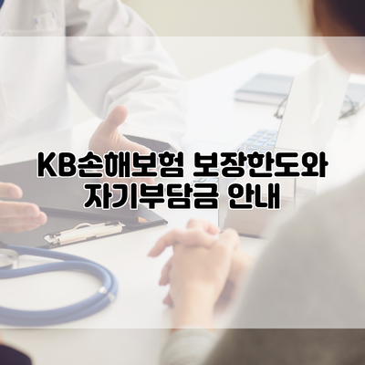 KB손해보험 보장한도와 자기부담금 안내