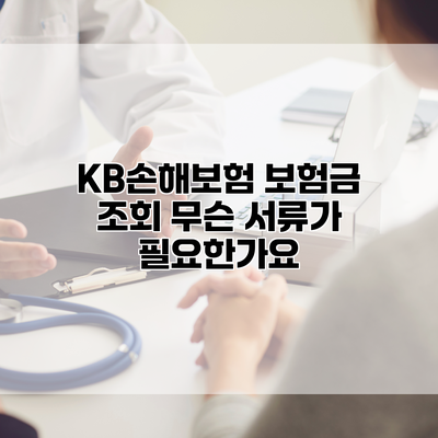 KB손해보험 보험금 조회 무슨 서류가 필요한가요?