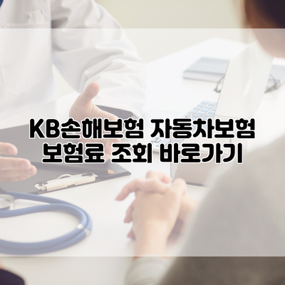 KB손해보험 자동차보험 보험료 조회 바로가기