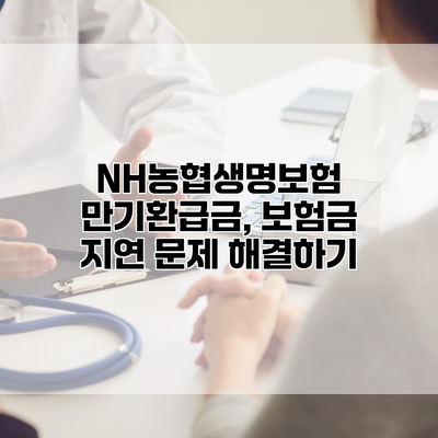 NH농협생명보험 만기환급금, 보험금 지연 문제 해결하기