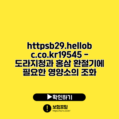 https://b29.hellobc.co.kr/19545 - 도라지청과 홍삼: 환절기에 필요한 영양소의 조화