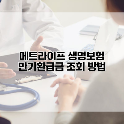 메트라이프 생명보험 만기환급금 조회 방법
