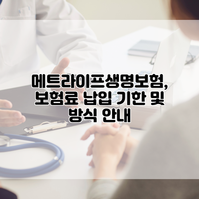 메트라이프생명보험, 보험료 납입 기한 및 방식 안내