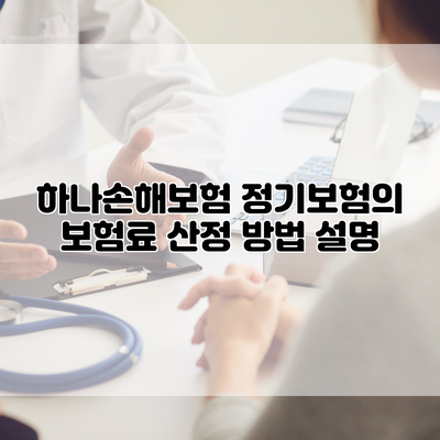 하나손해보험 정기보험의 보험료 산정 방법 설명